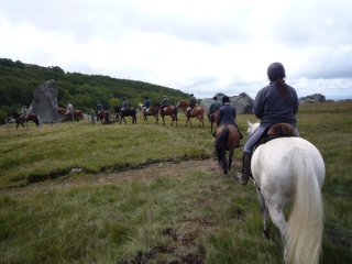 Passeio equestre em várias regiões no verão 
